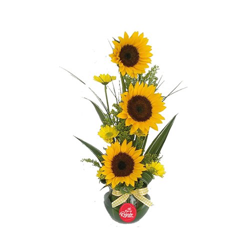 Solitario en Girasol – Floristeria Hanny